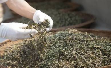 福州大学携手柘荣百丈岩茶业共建研究生实践教育基地，助力柘荣人才发展