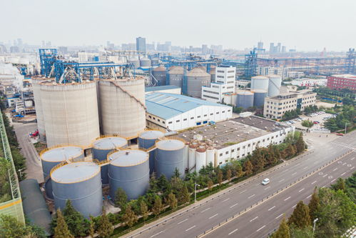 扎根中国半世纪，嘉吉加码投资对话未来——世界500强企业的本土化与人才战略新篇章